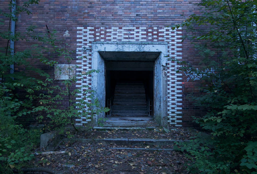 Stacks Image 219890