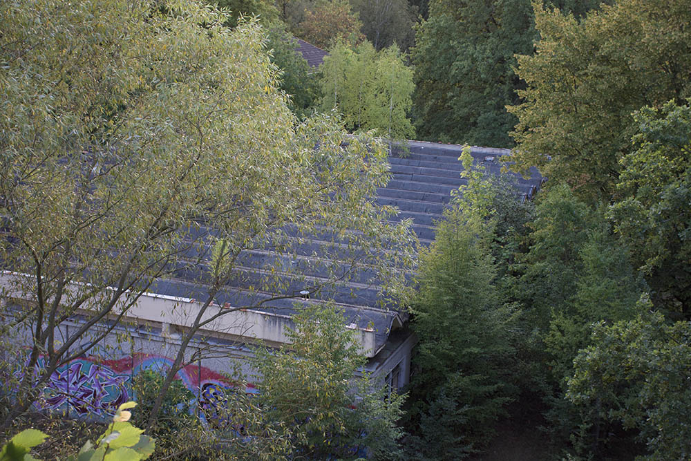 Stacks Image 219877