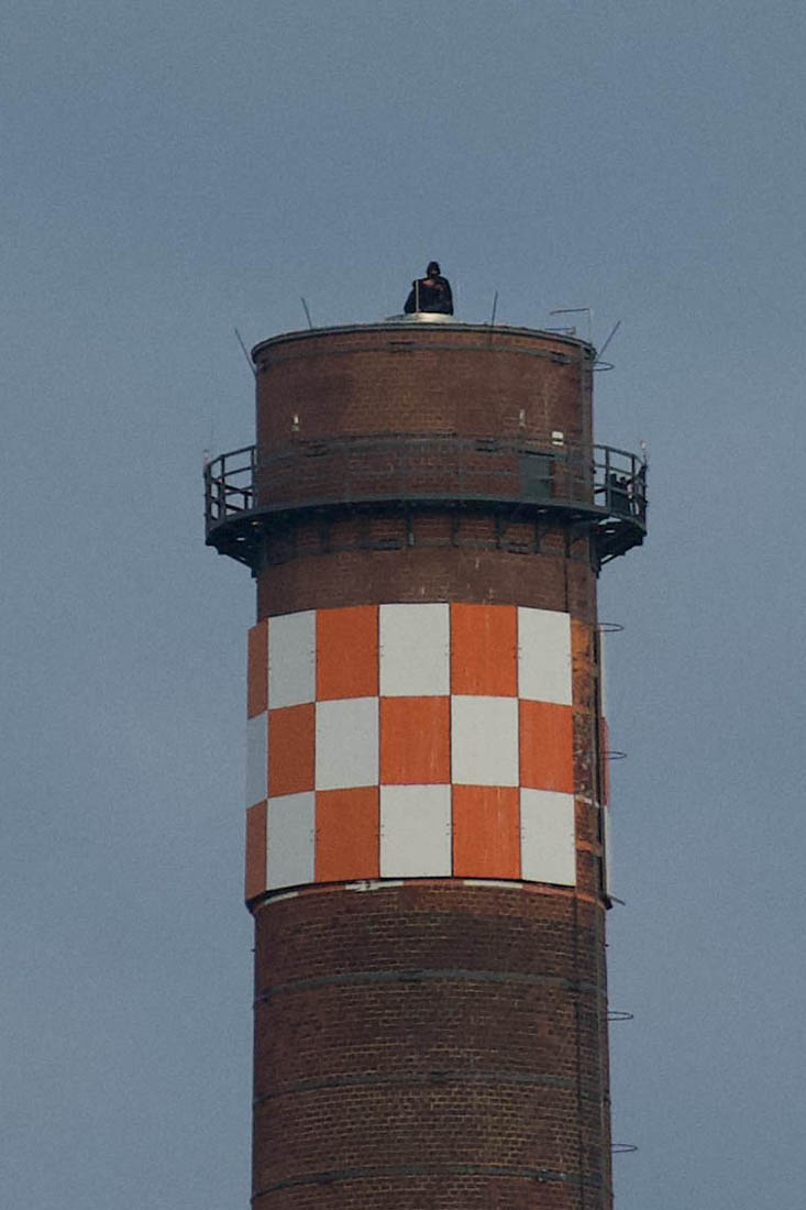 Stacks Image 219434